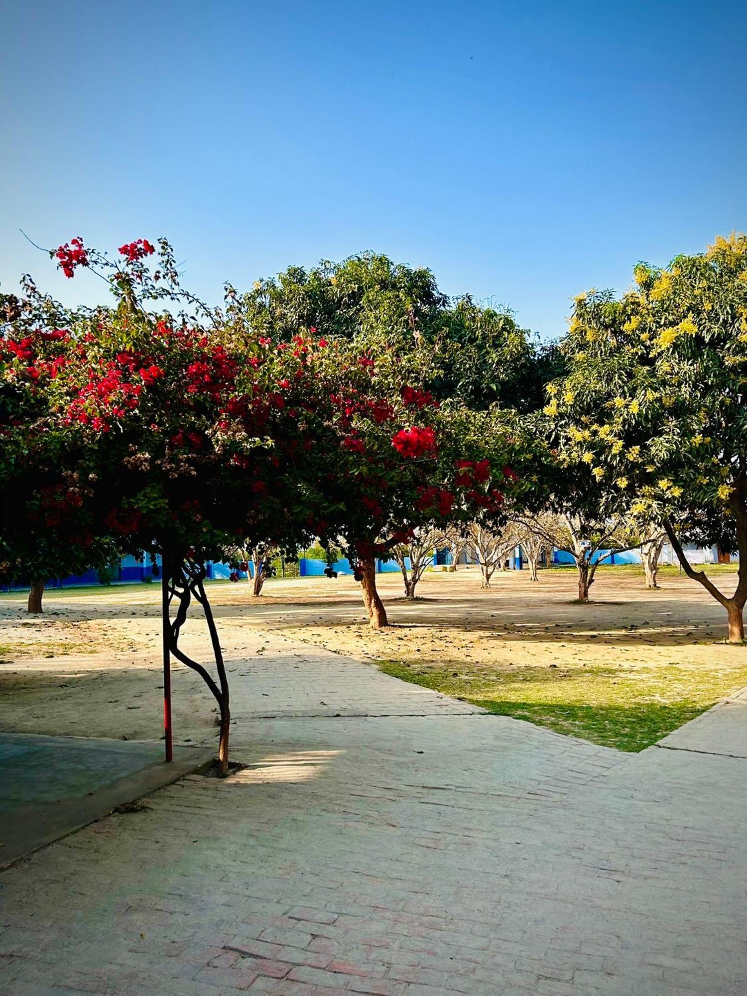 Gooseberry Garden Βίλα Ayodhya Εξωτερικό φωτογραφία