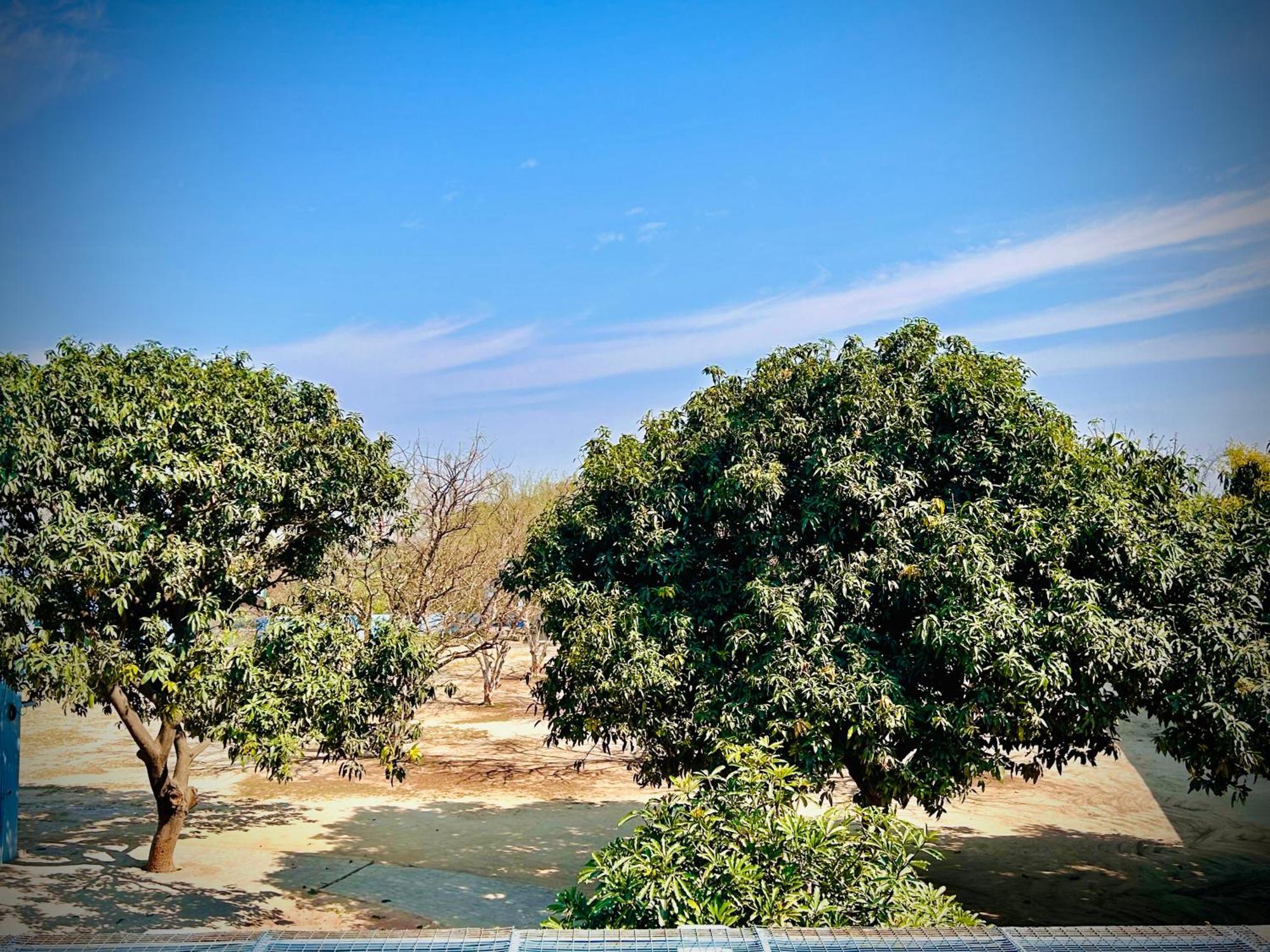 Gooseberry Garden Βίλα Ayodhya Εξωτερικό φωτογραφία