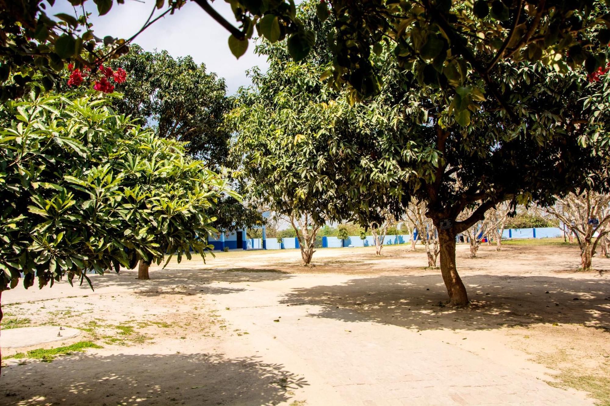 Gooseberry Garden Βίλα Ayodhya Εξωτερικό φωτογραφία